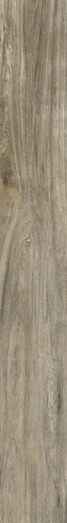Selection Oak Amber 6 x 48
