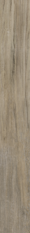 Selection Oak Amber 6 x 48
