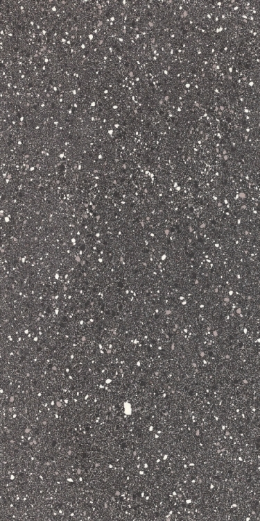 Rock 2013 Flat Dark Ash 12 x 24