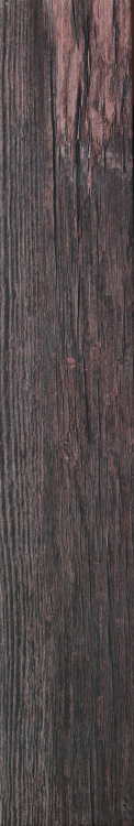 Wild Wood Brown 6 x 36