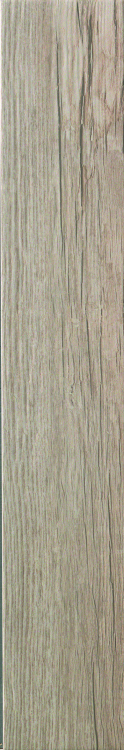 Wild Wood Sand 6 x 36