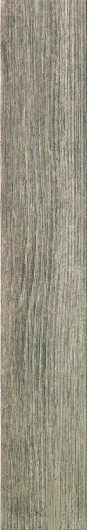 Wild Wood Sand 6 x 36